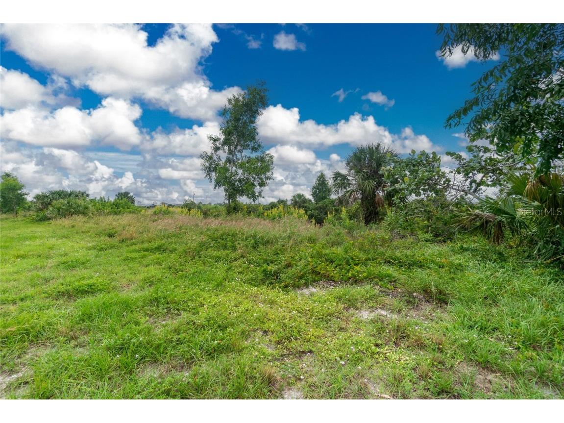 3902 NW 41st Lane Cape Coral FL 33993 D6132815 image29