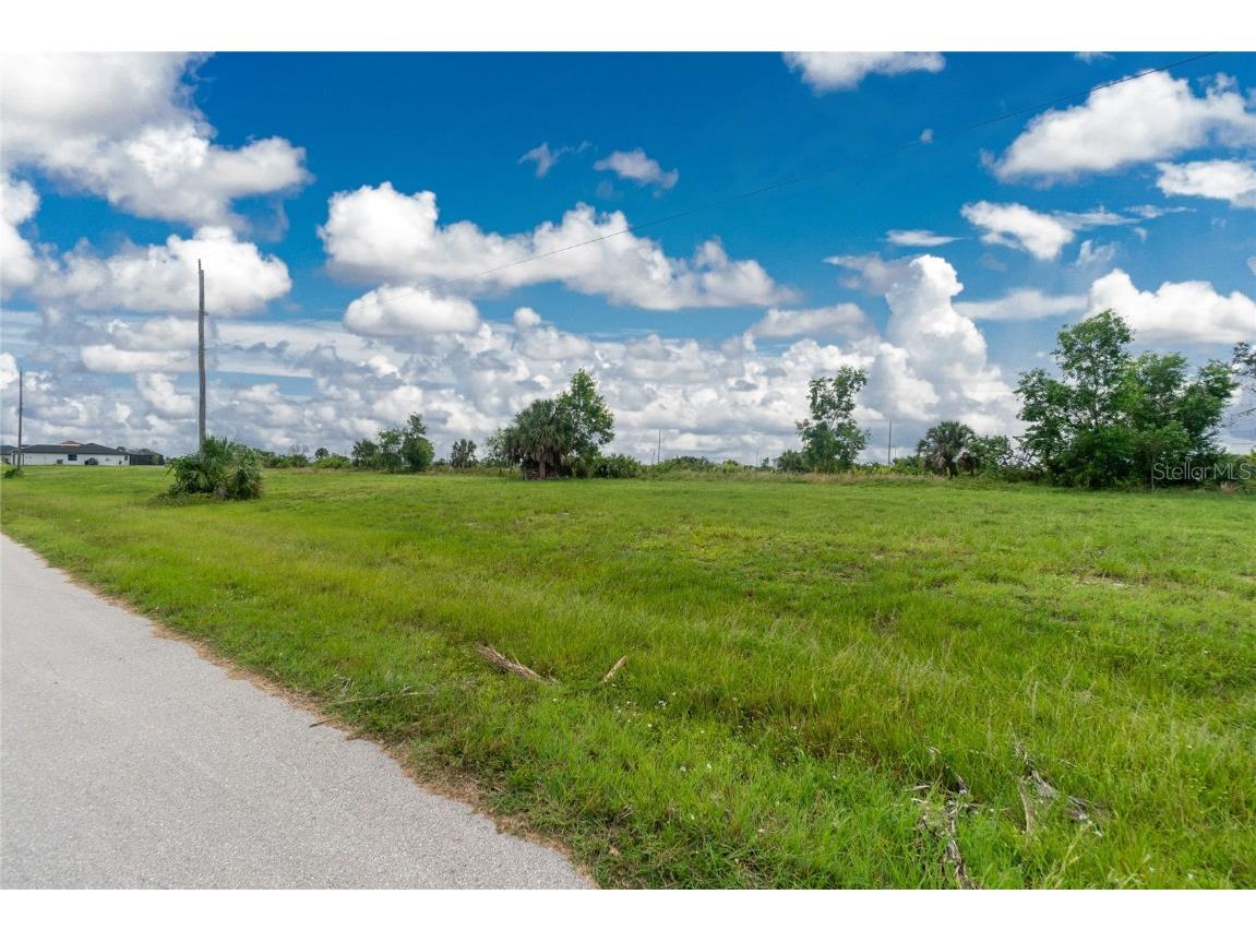 3902 NW 41st Lane Cape Coral FL 33993 D6132815 image30