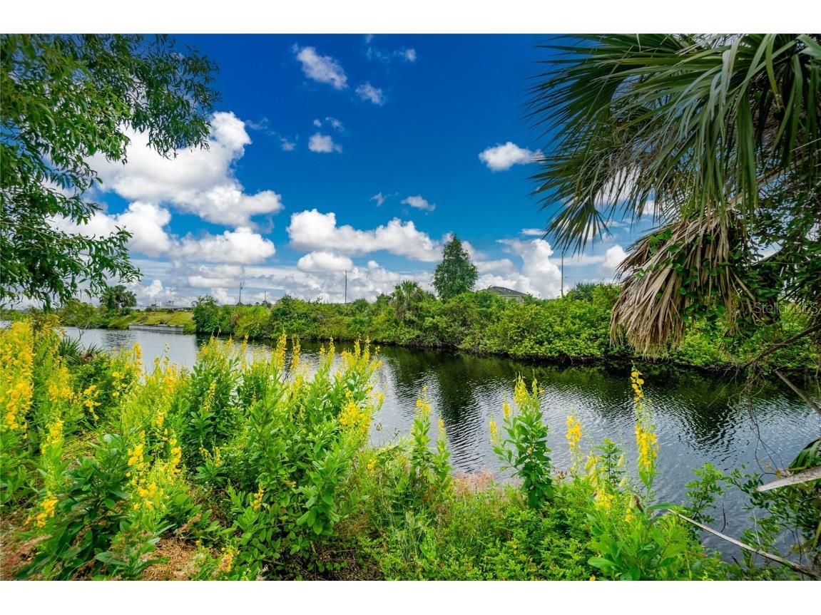 3902 NW 41st Lane Cape Coral FL 33993 D6132815 image5