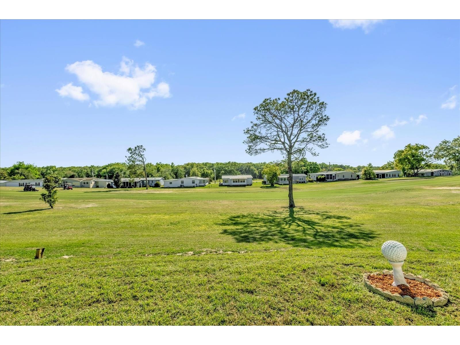 3902 Parway Road #1339 Zellwood FL 32798 O6392822 image30