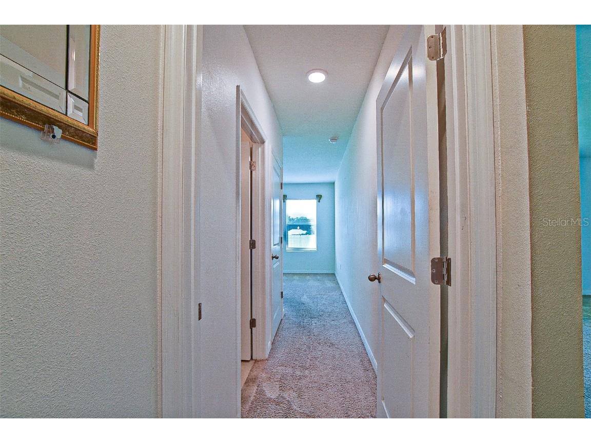 3902 SE 99th Street Belleview FL 34420 OM705848 image39