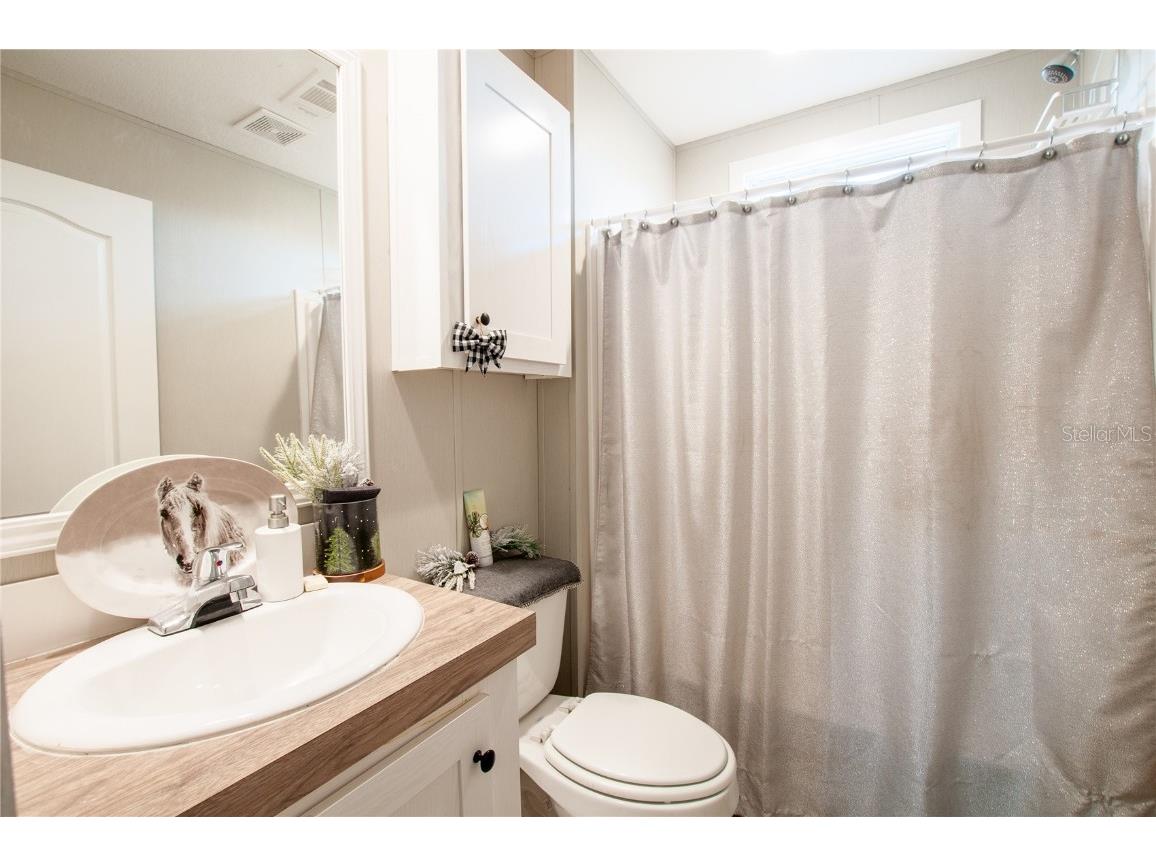 3902 SW Addison Avenue Arcadia FL 34266 C7517025 image10