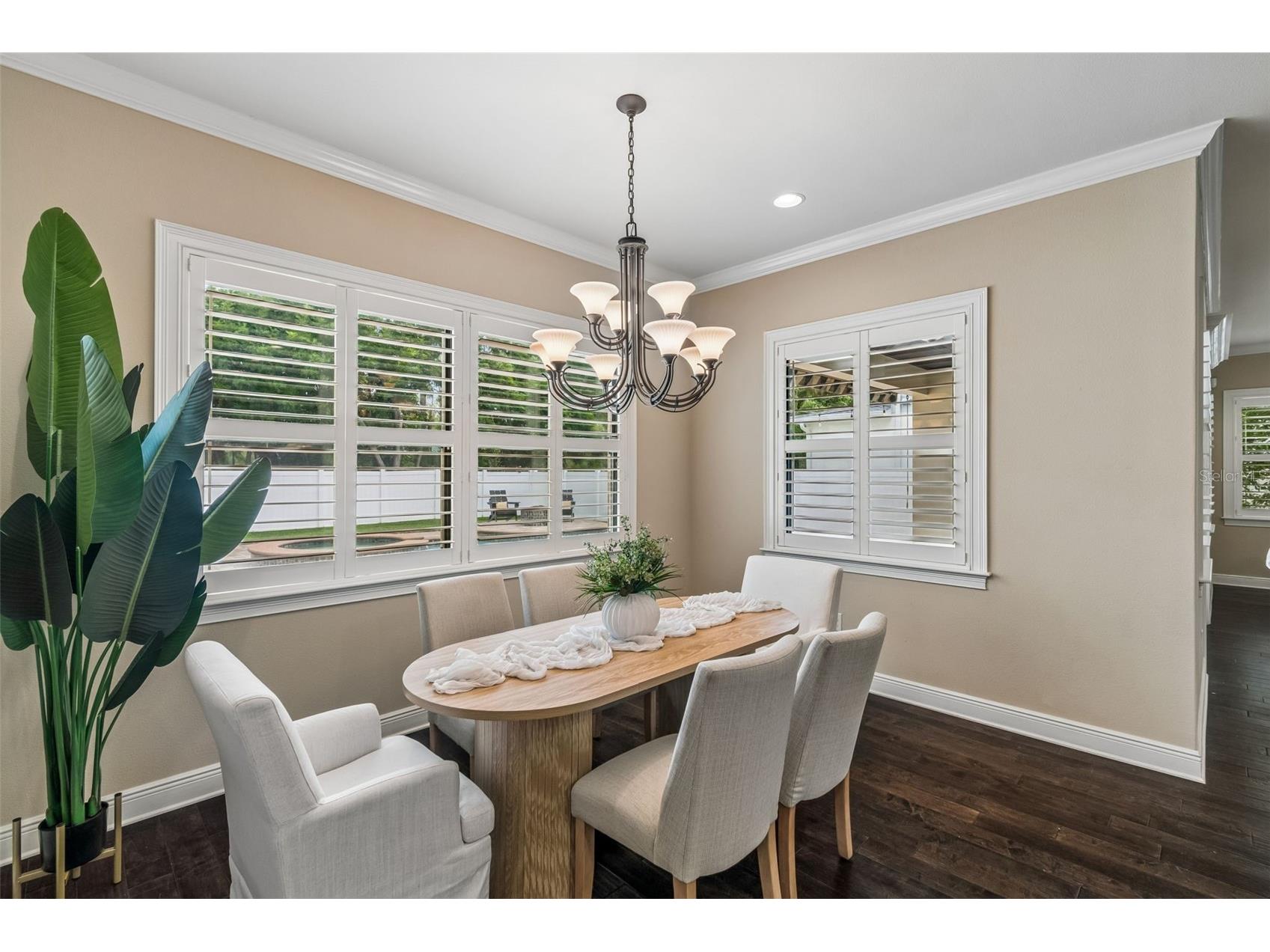 3902 W Vasconia Street Tampa FL 33629 TB8485792 image29