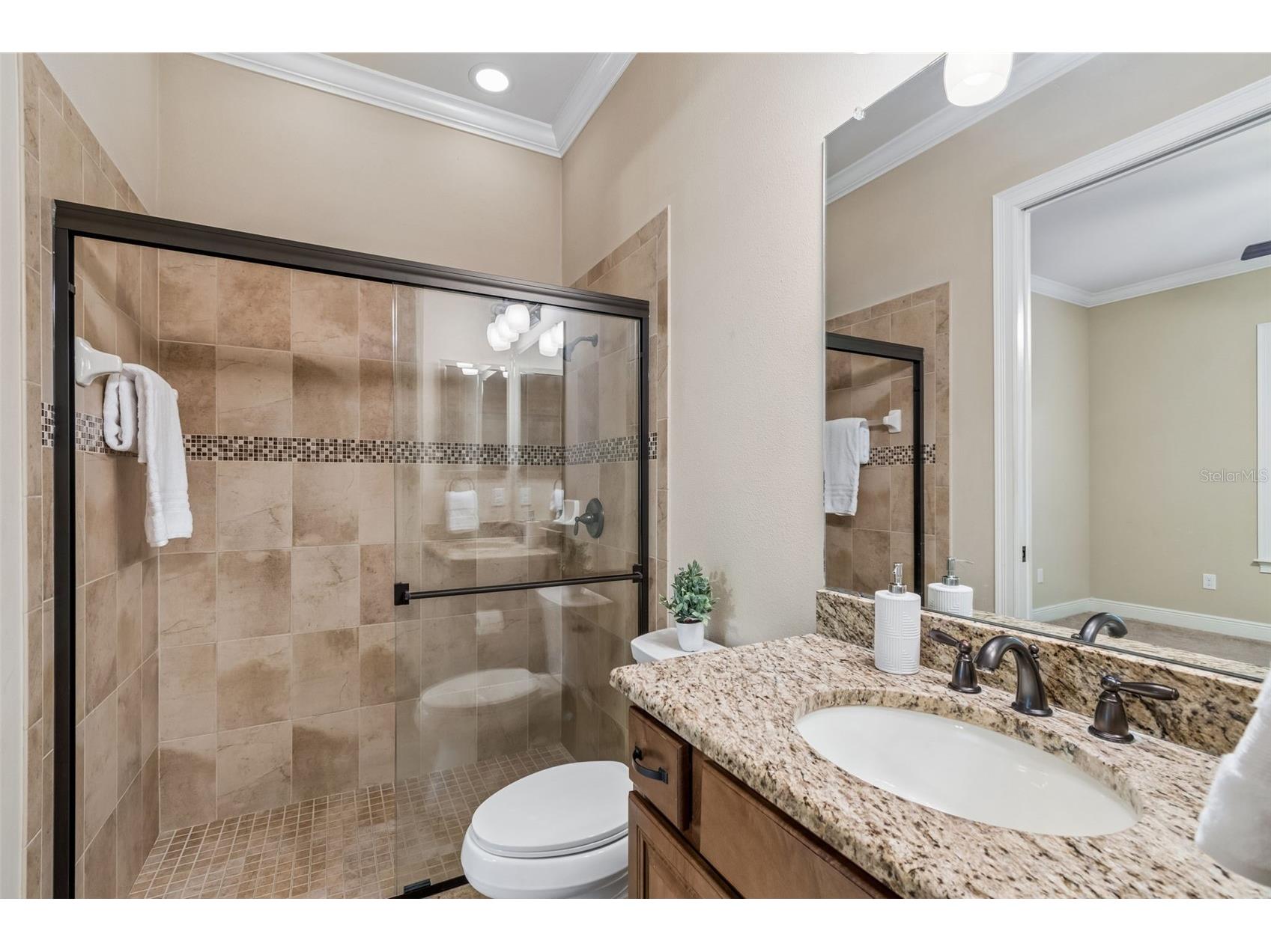 3902 W Vasconia Street Tampa FL 33629 TB8485792 image49