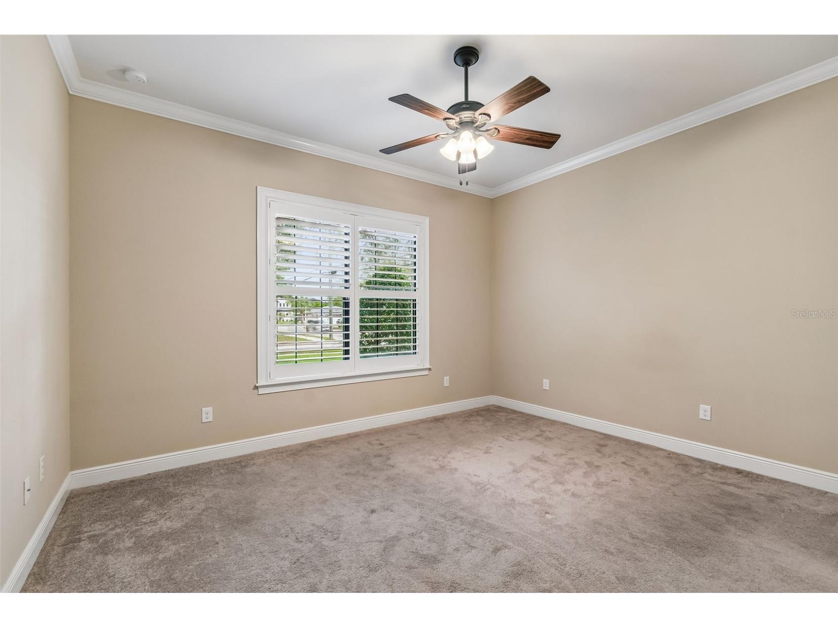 3902 W Vasconia Street Tampa FL 33629 TB8485792 image52