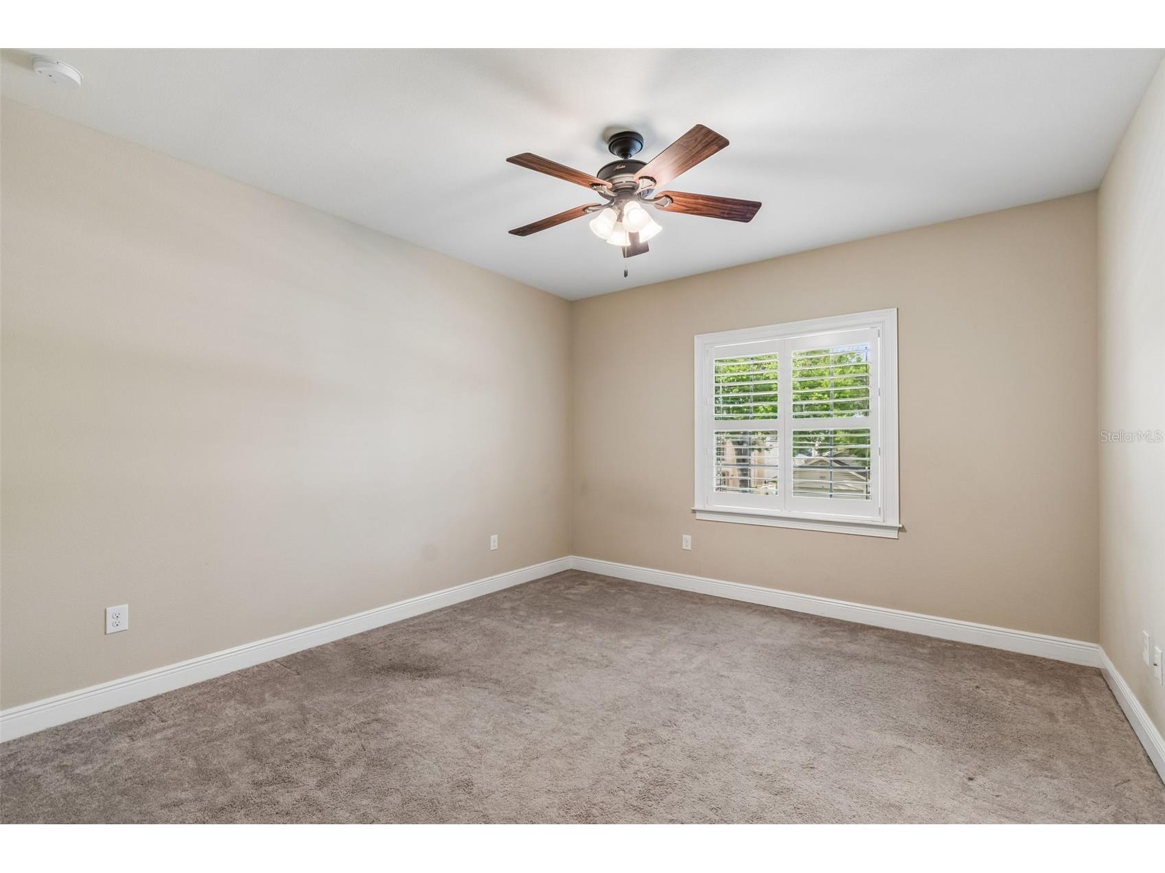 3902 W Vasconia Street Tampa FL 33629 TB8485792 image67