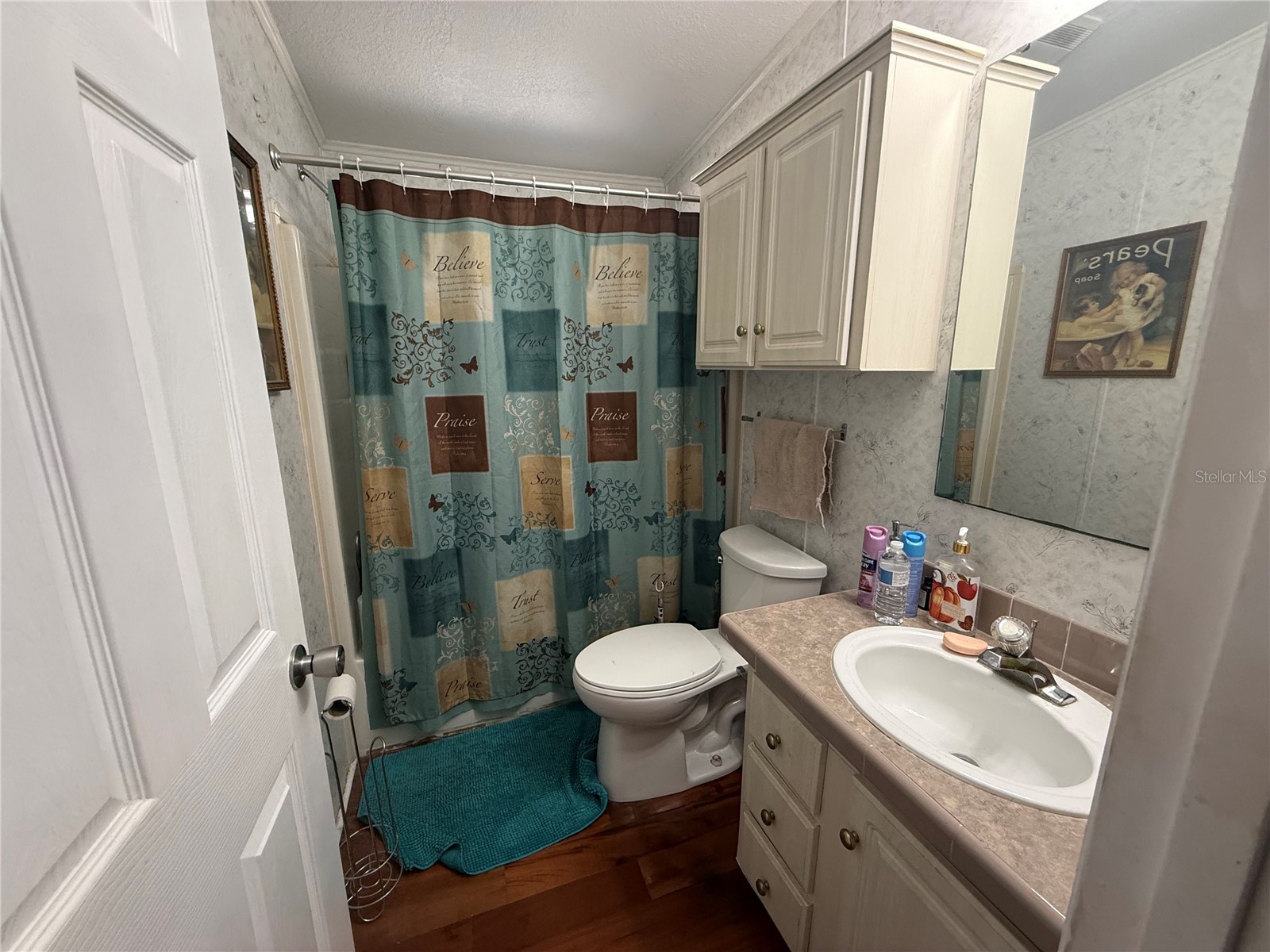 39020 Kirkland Drive Zephyrhills FL 33542 TB8469723 image6