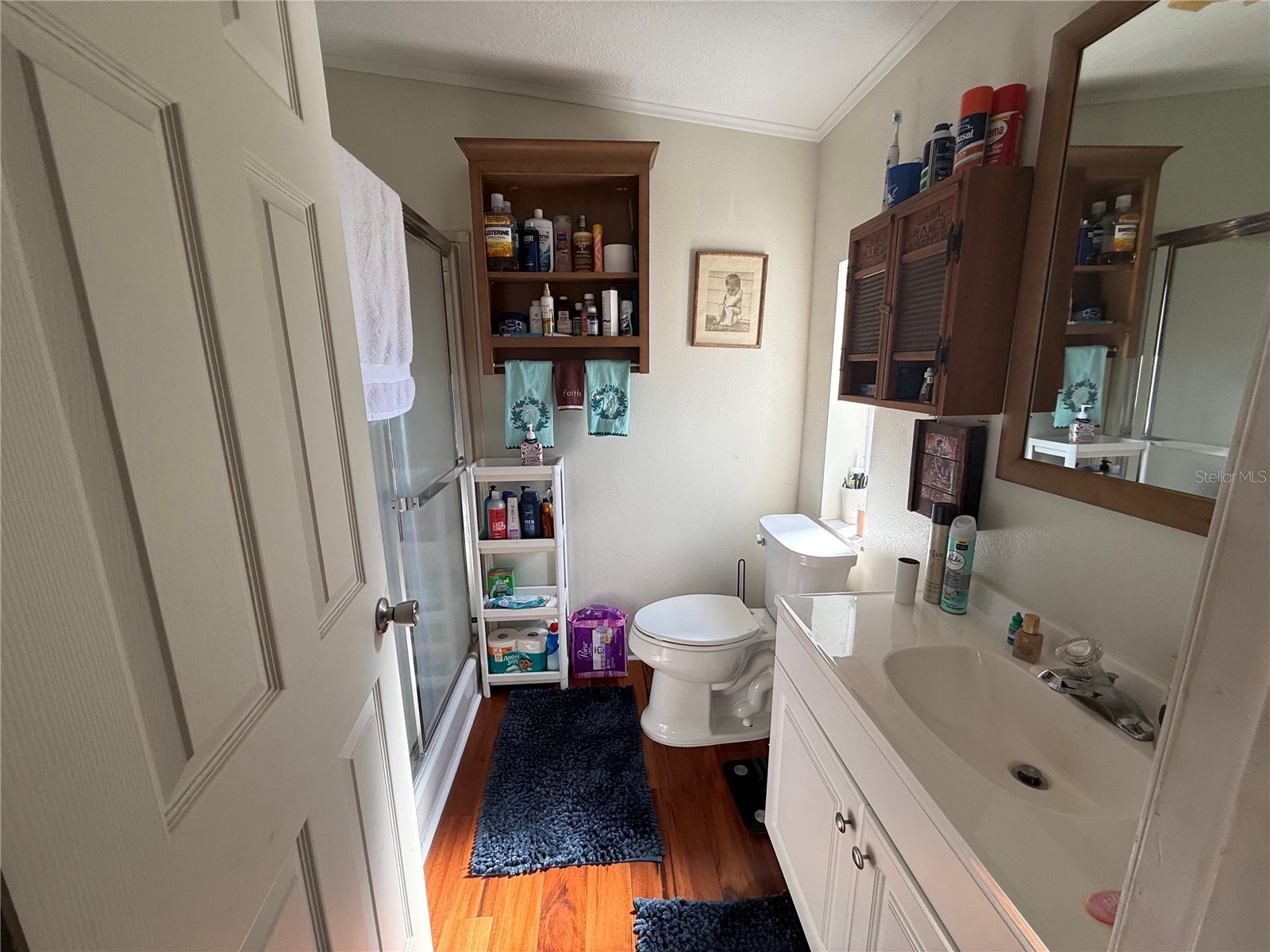 39020 Kirkland Drive Zephyrhills FL 33542 TB8469723 image7