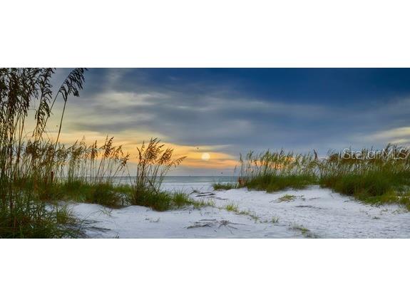 3903 45th Terrace W #106 Bradenton FL 34210 TB8501227 image37