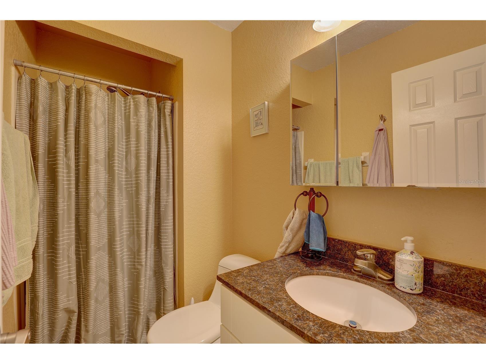 3903 Brigadoon Circle Clearwater FL 33759 TB8466091 image23