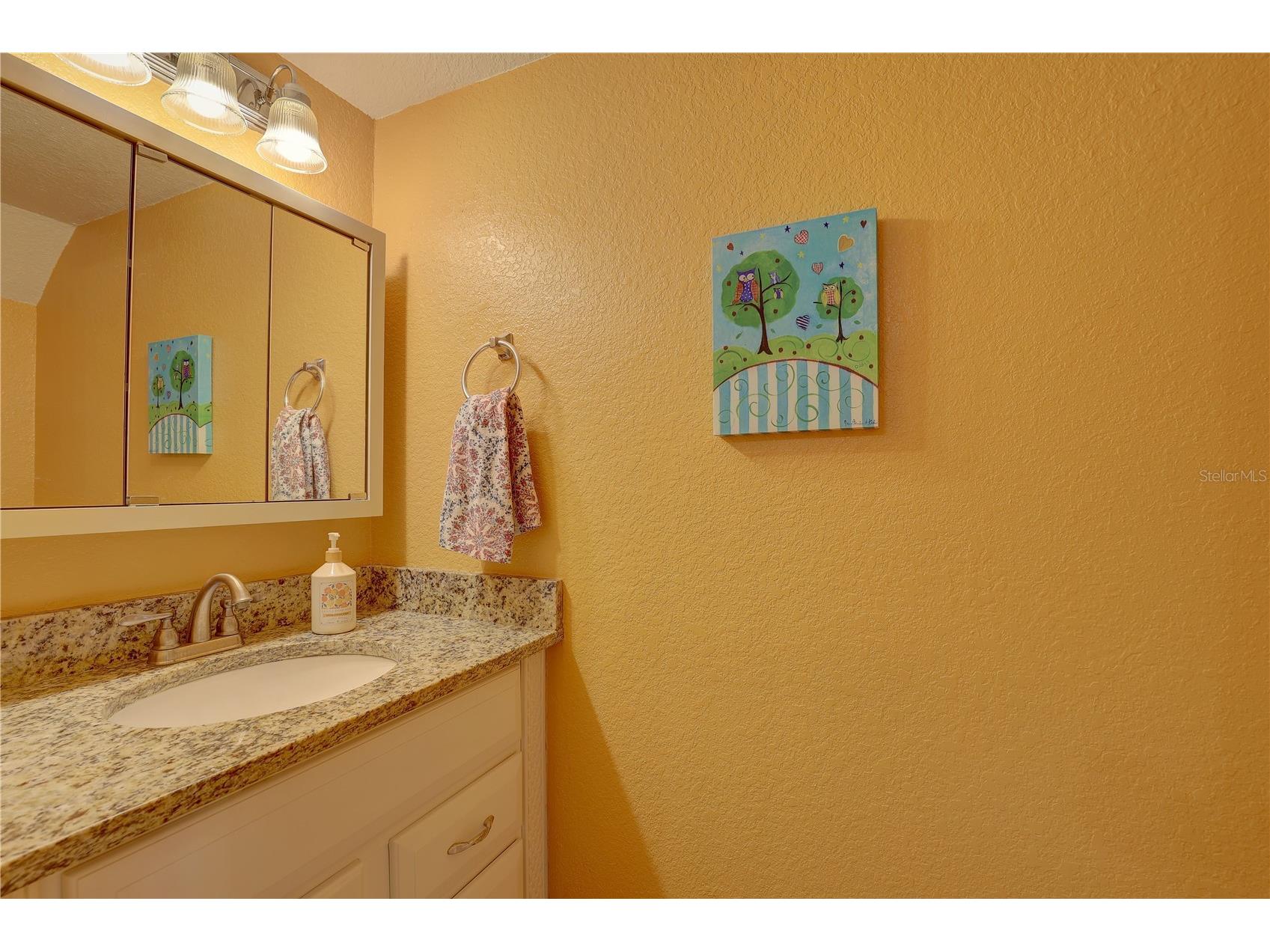 3903 Brigadoon Circle Clearwater FL 33759 TB8466091 image30