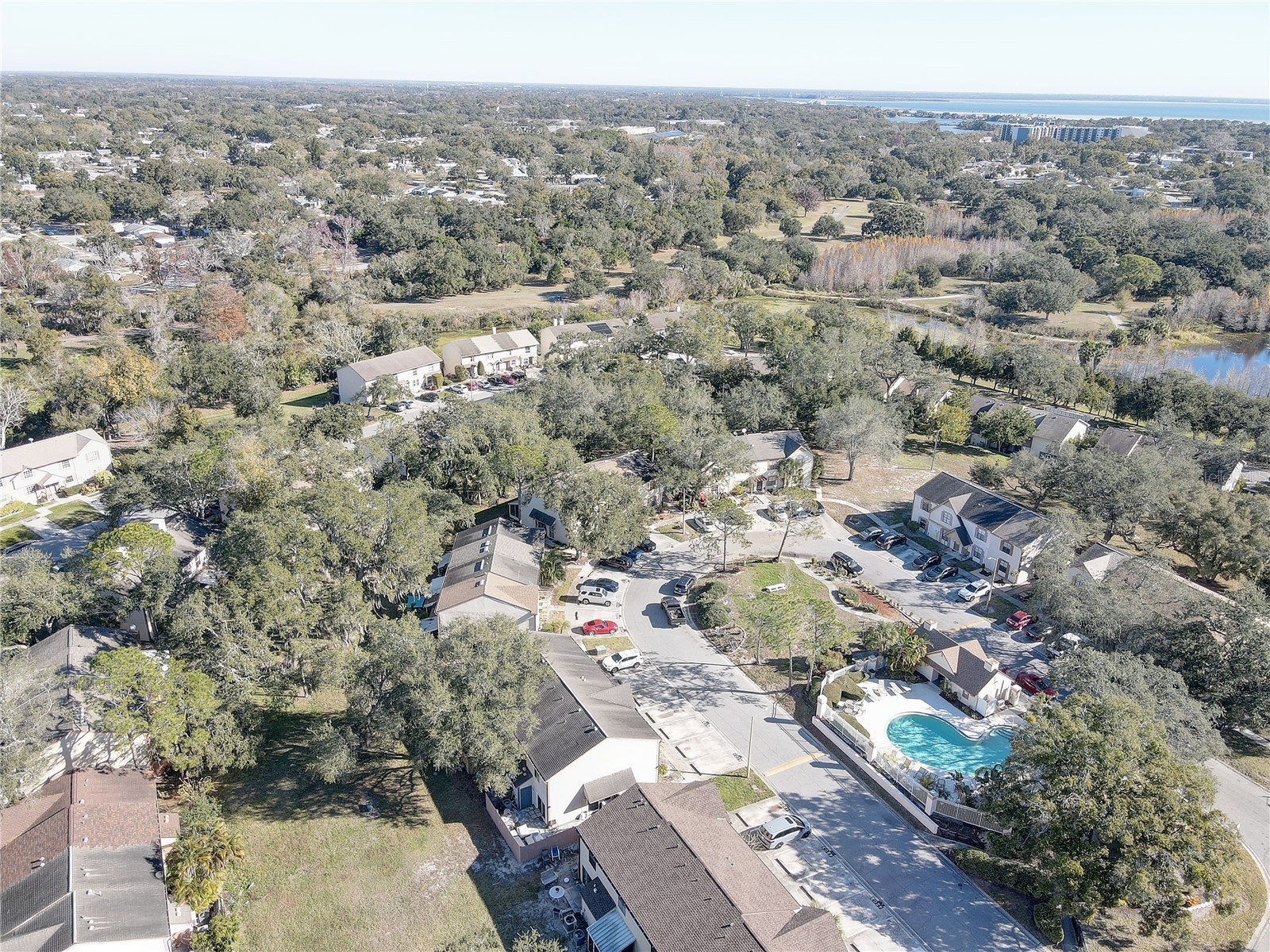 3903 Brigadoon Circle Clearwater FL 33759 TB8466091 image38