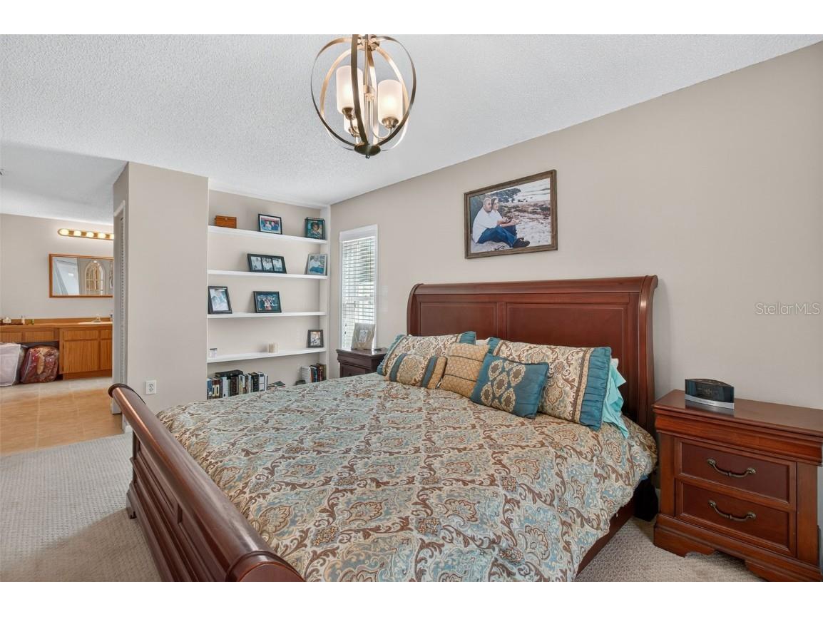 3903 Dunaire Drive Valrico FL 33596 TB8436548 image26