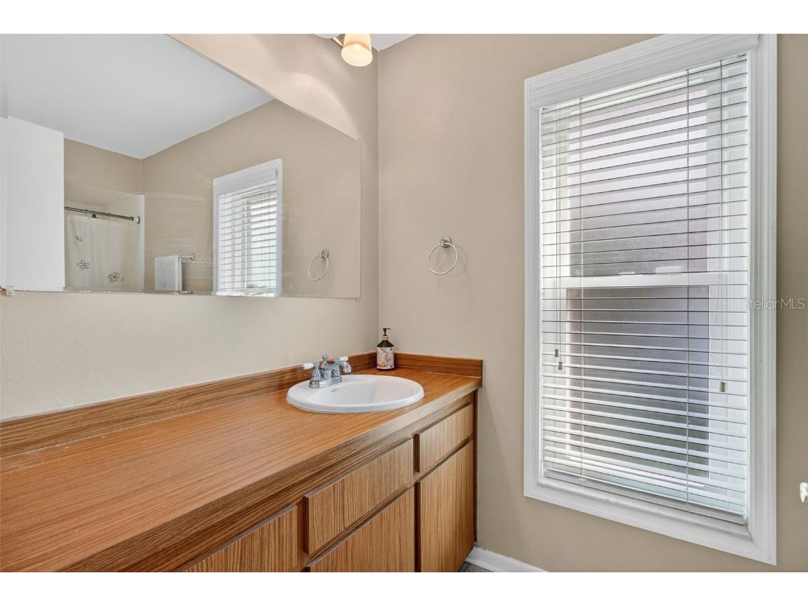 3903 Dunaire Drive Valrico FL 33596 TB8436548 image29