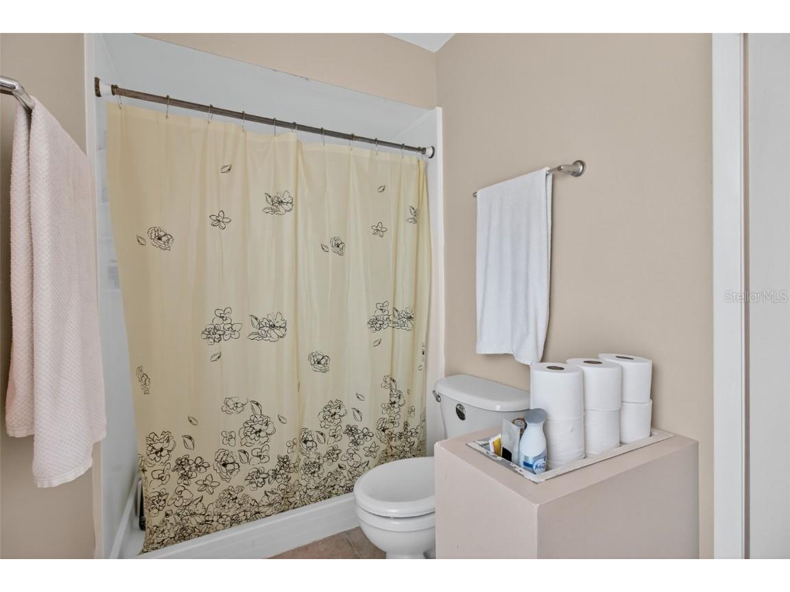 3903 Dunaire Drive Valrico FL 33596 TB8436548 image31