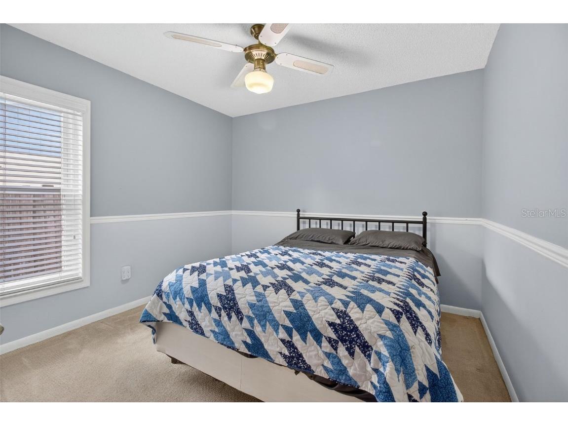 3903 Dunaire Drive Valrico FL 33596 TB8436548 image38