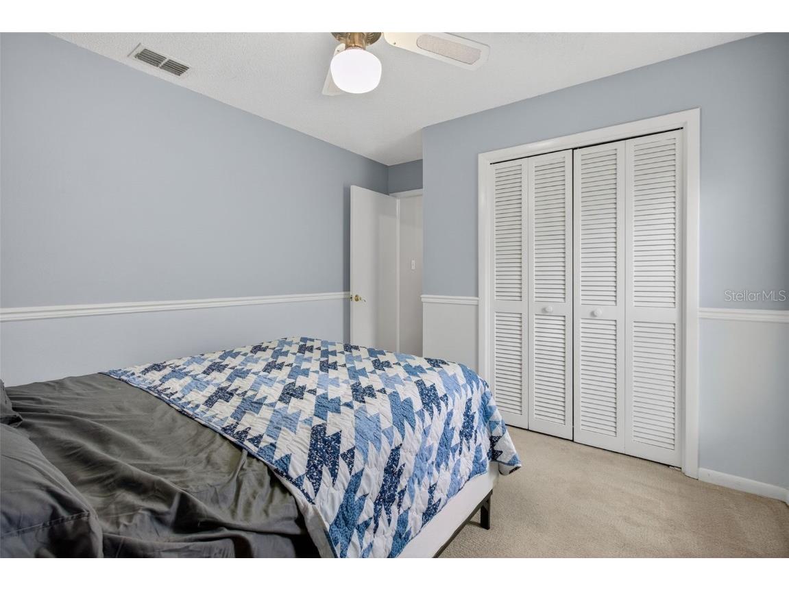 3903 Dunaire Drive Valrico FL 33596 TB8436548 image39