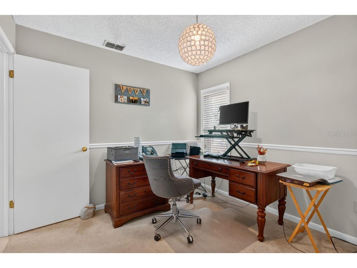 3903 Dunaire Drive Valrico FL 33596 TB8436548 image40