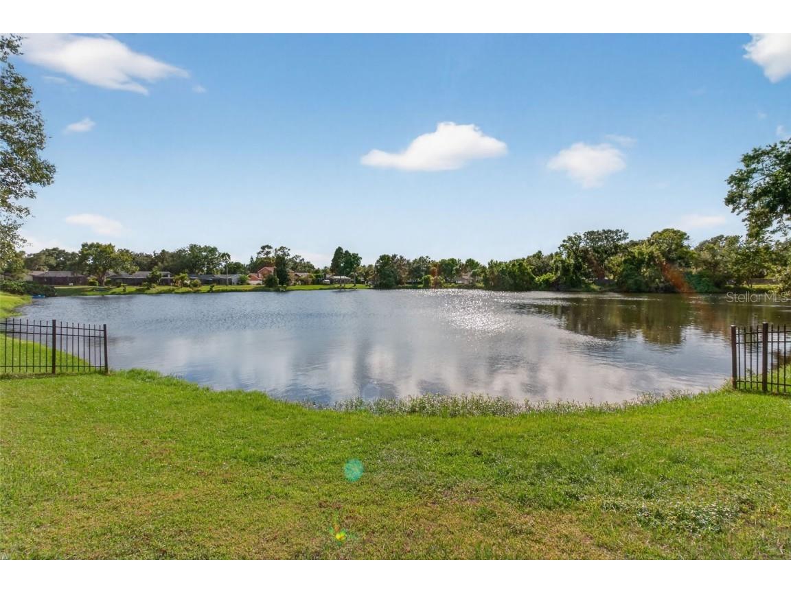 3903 Dunaire Drive Valrico FL 33596 TB8436548 image42