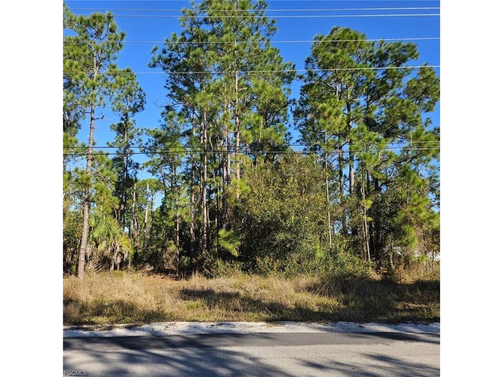 3903 E 10th Street Lehigh Acres FL 33972 A4686429 image1