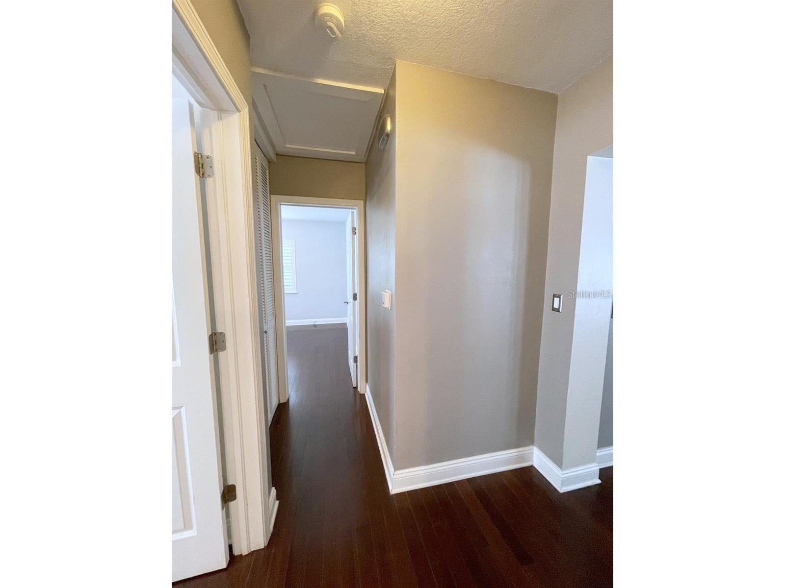 3903 W Corona Street Tampa FL 33629 TB8524662 image13