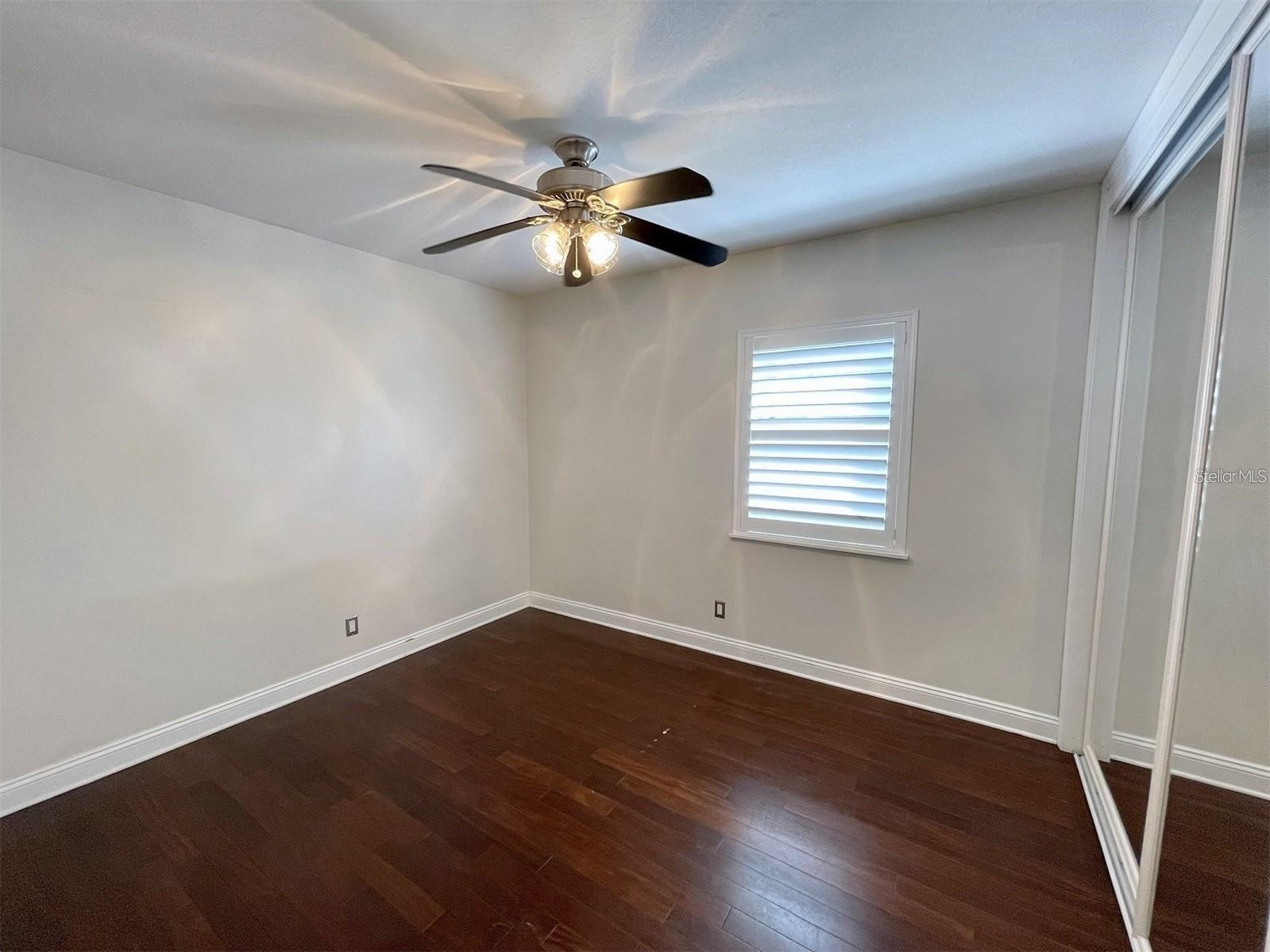 3903 W Corona Street Tampa FL 33629 TB8524662 image14