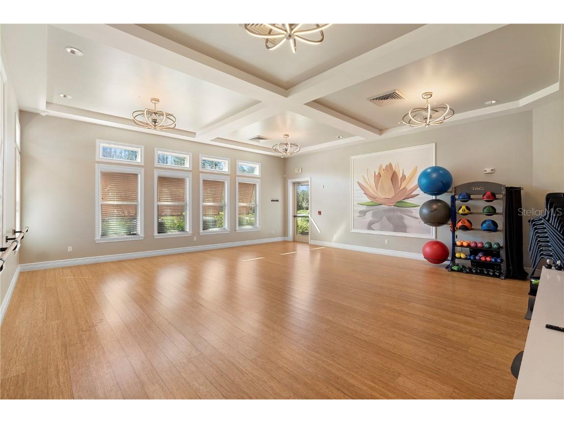 3903 Winged Elm Court Clermont FL 34714 O6338254 image58