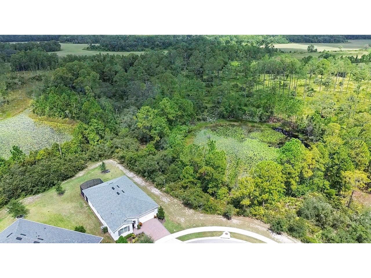 3903 Winged Elm Court Clermont FL 34714 O6338254 image65