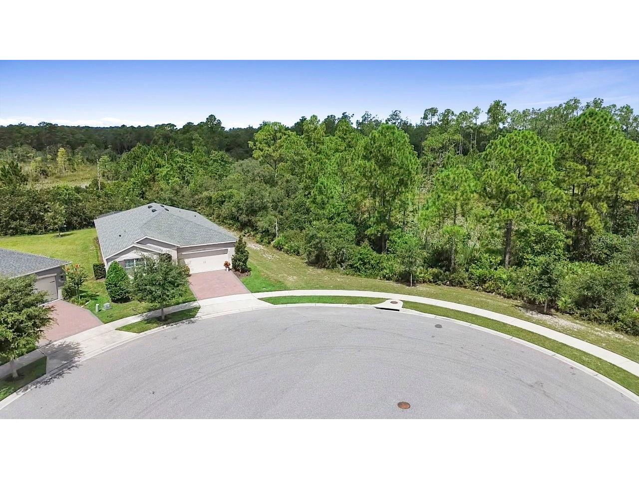 3903 Winged Elm Court Clermont FL 34714 O6338254 image66