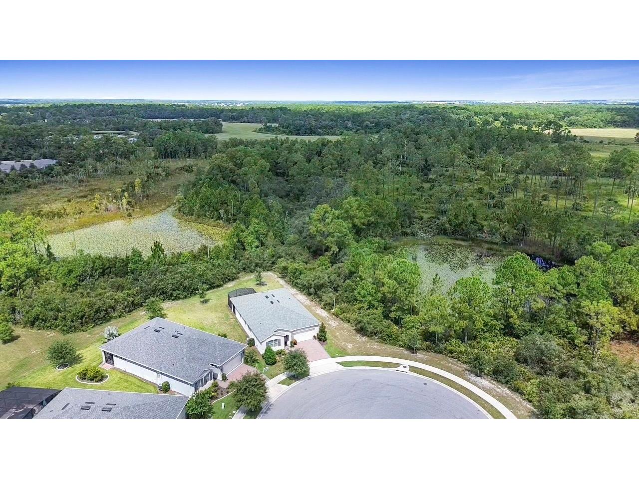 3903 Winged Elm Court Clermont FL 34714 O6338254 image67