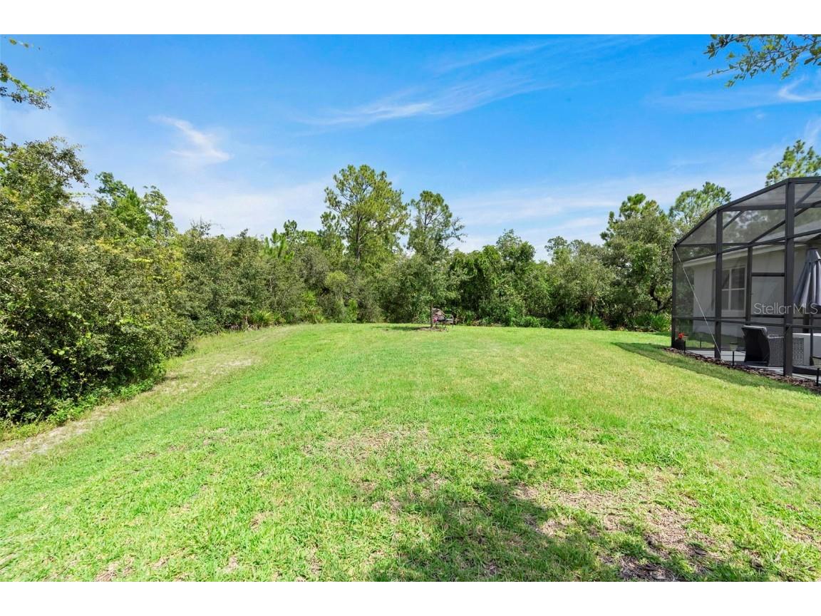 3903 Winged Elm Court Clermont FL 34714 O6338254 image9