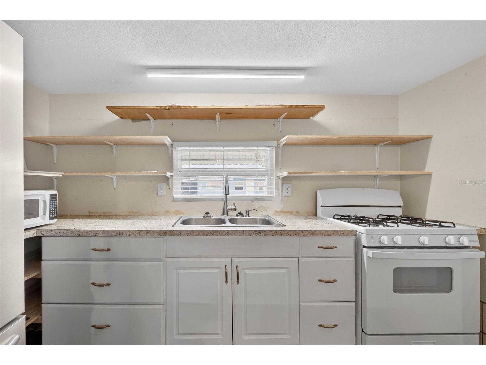 39032 Ola Avenue Zephyrhills FL 33542 TB8429294 image14