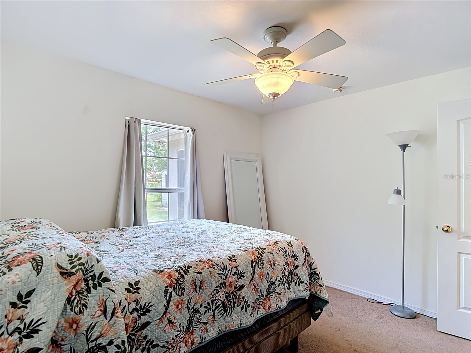 39033 6th Ave Zephyrhills FL 33542 TB8517658 image33