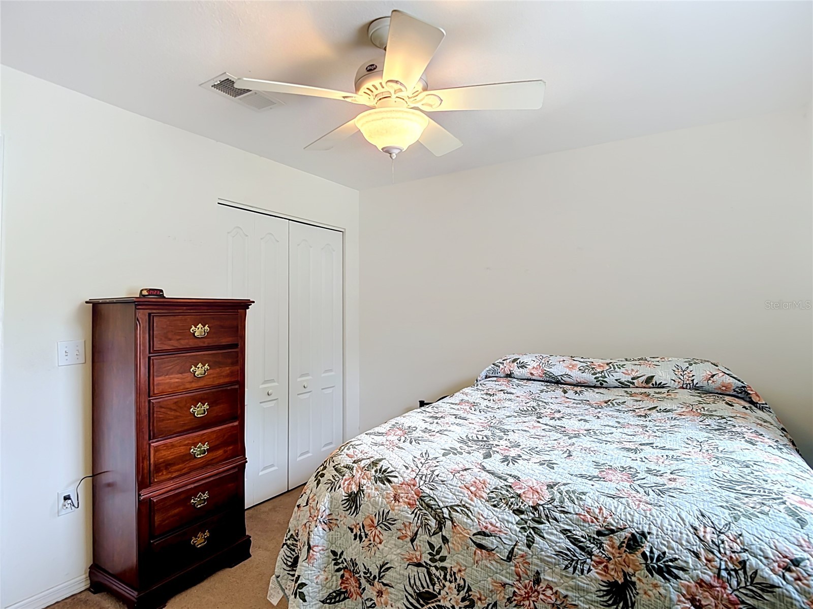 39033 6th Ave Zephyrhills FL 33542 TB8517658 image35