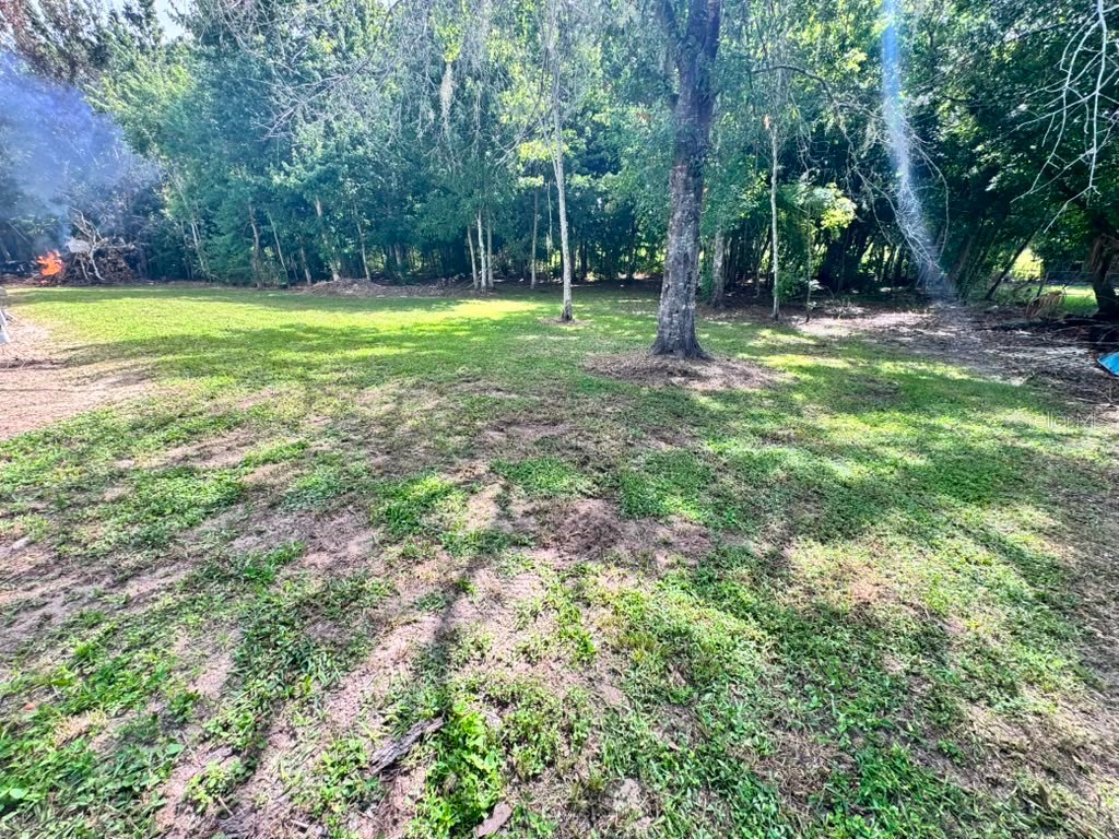 3904 Cork Road Plant City FL 33565 TB8528697 image5