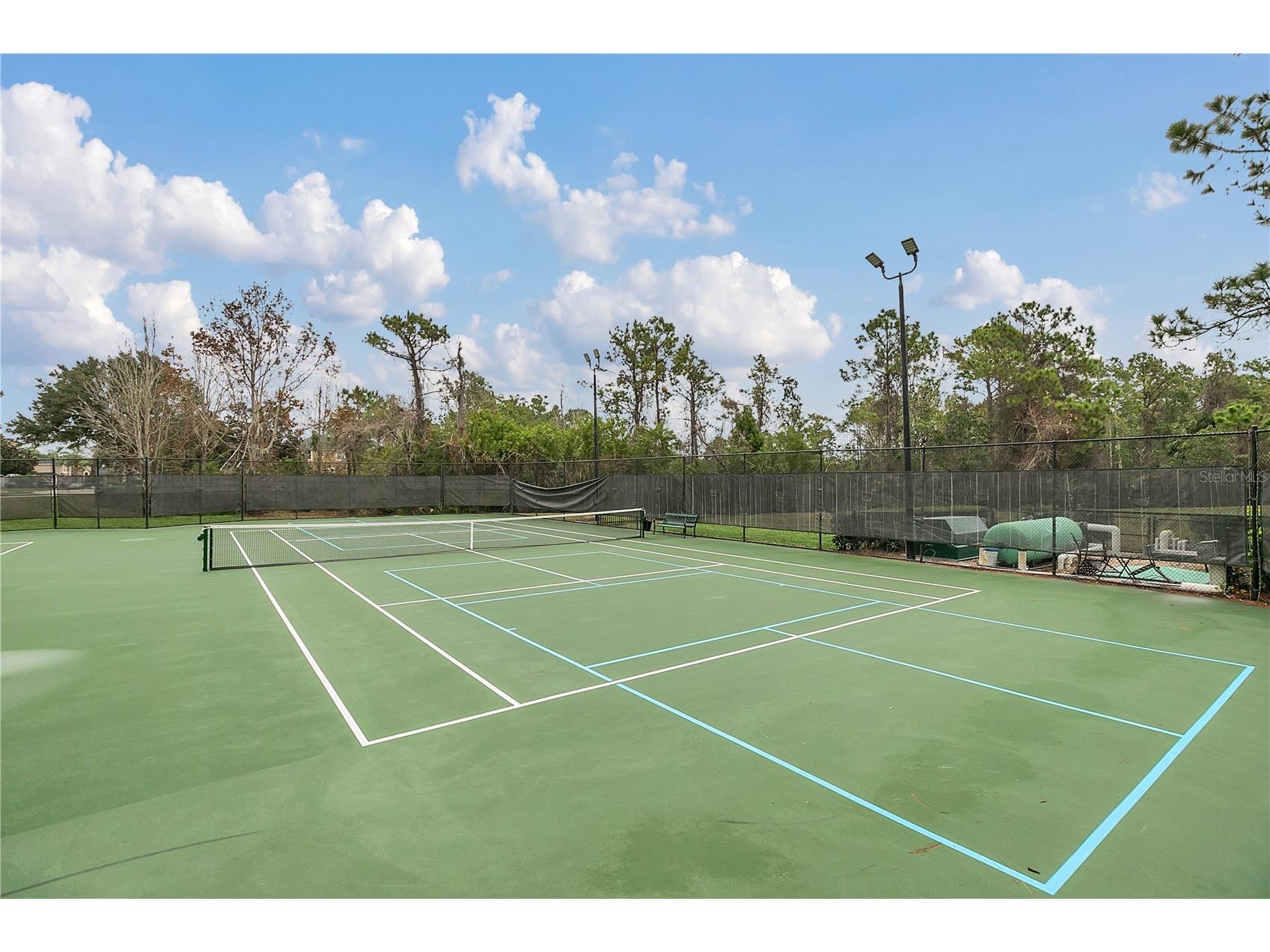 3904 Heirloom Rose Place Oviedo FL 32766 O6411328 image63