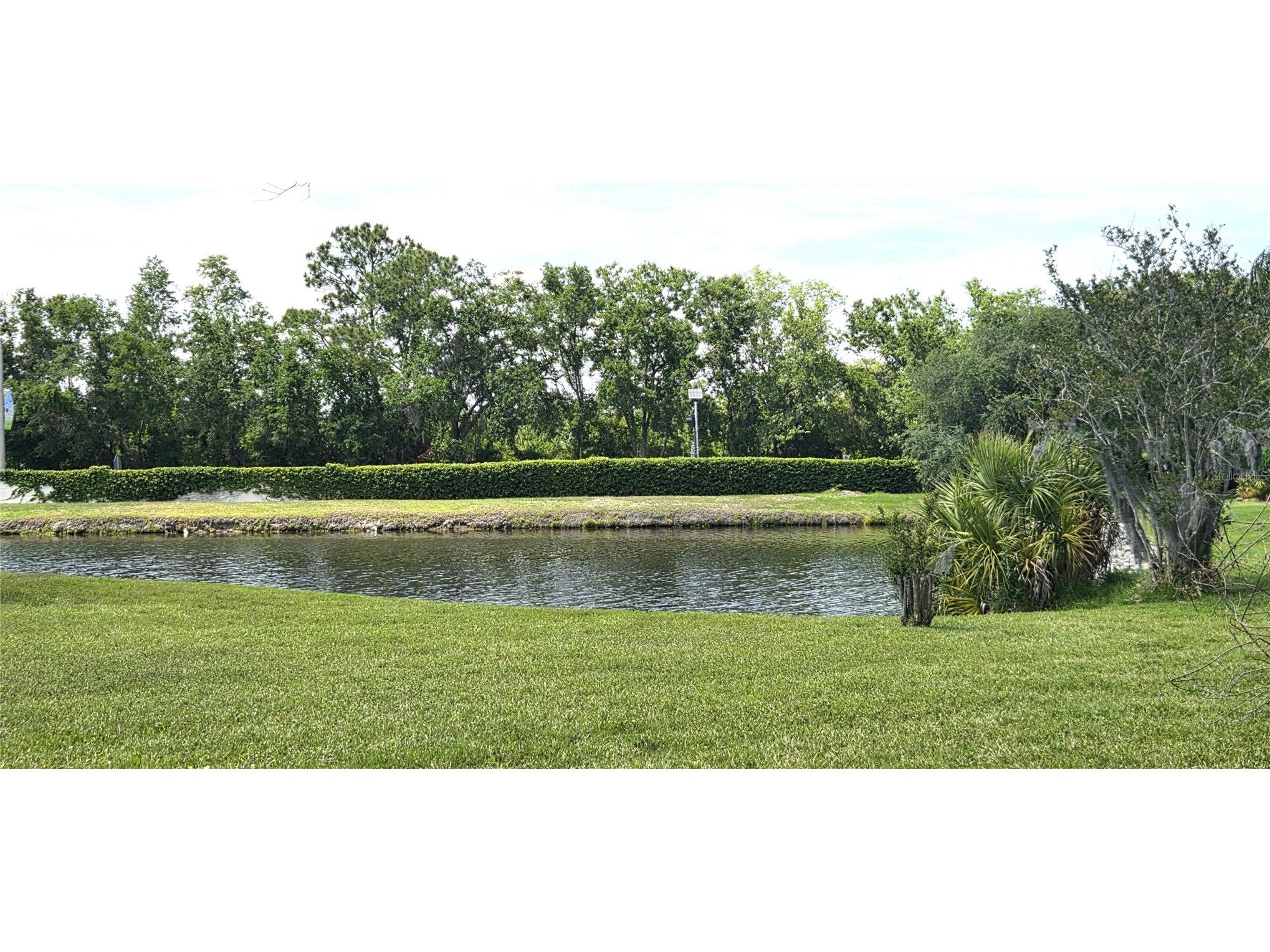 3904 Hidden Spring Place Valrico FL 33596 L4961713 image50