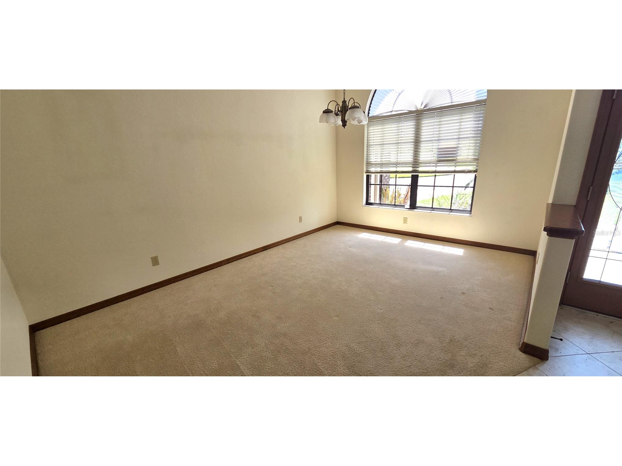 3904 Hidden Spring Place Valrico FL 33596 L4961713 image9