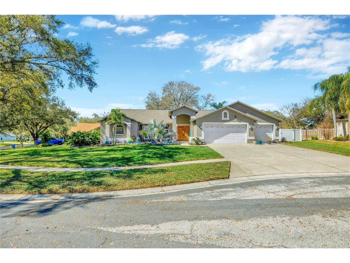 3904 Napa Place Valrico FL 33596 T3522965 image1