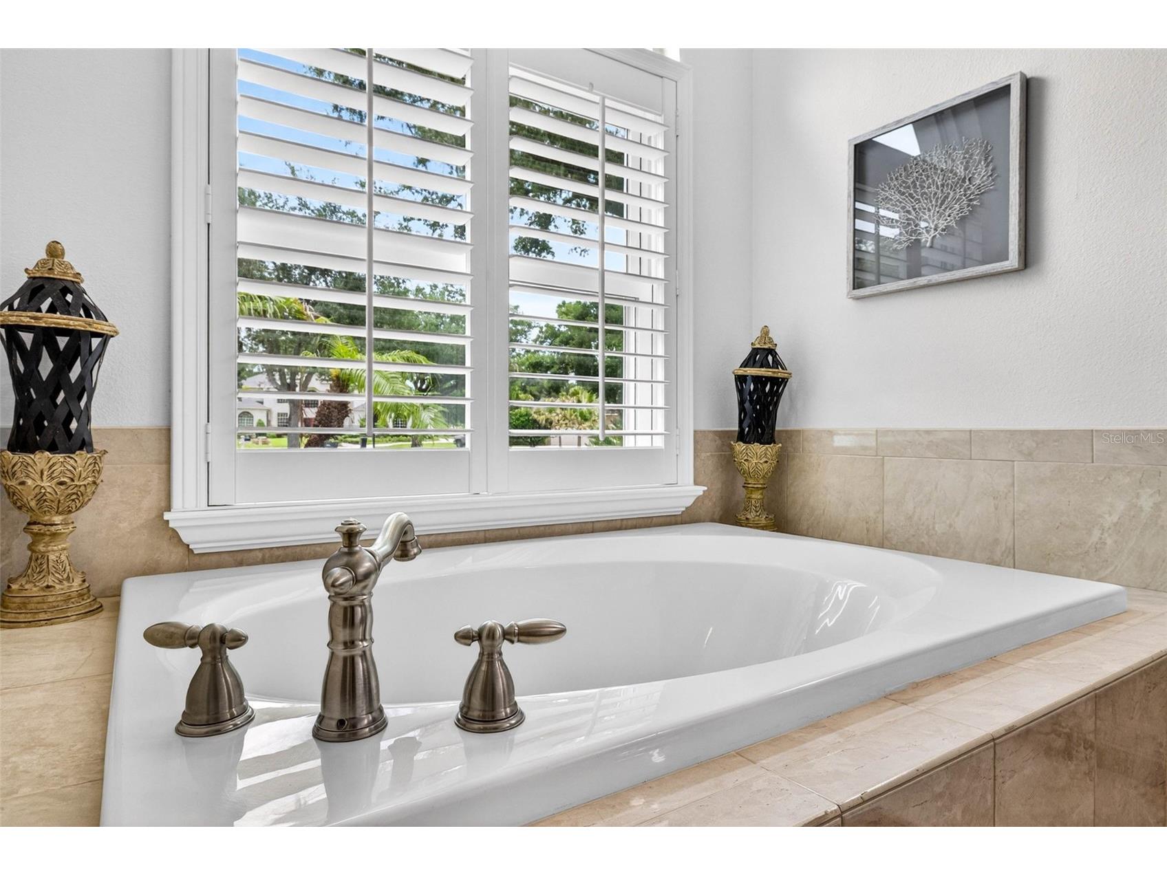 3904 S Nine Drive Valrico FL 33596 TB8515419 image45