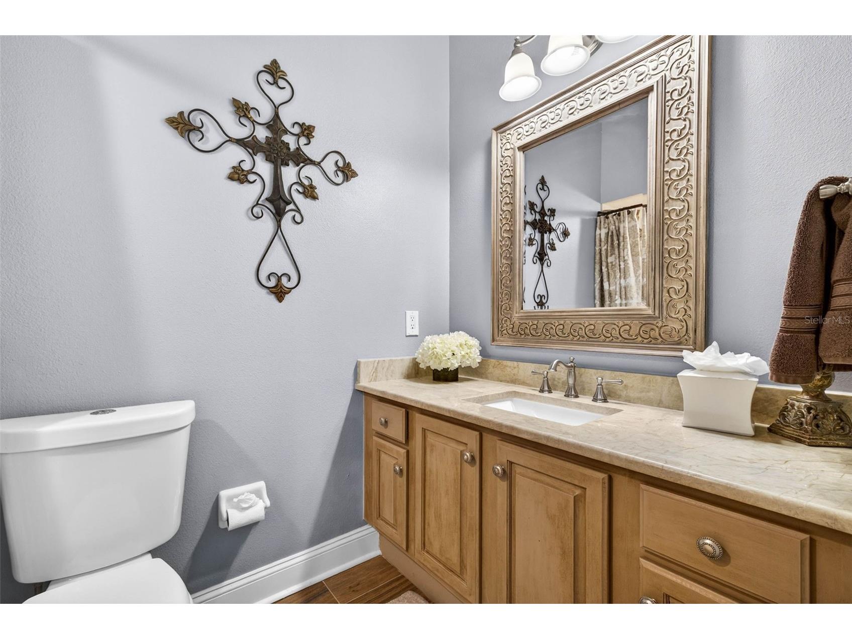 3904 S Nine Drive Valrico FL 33596 TB8515419 image60