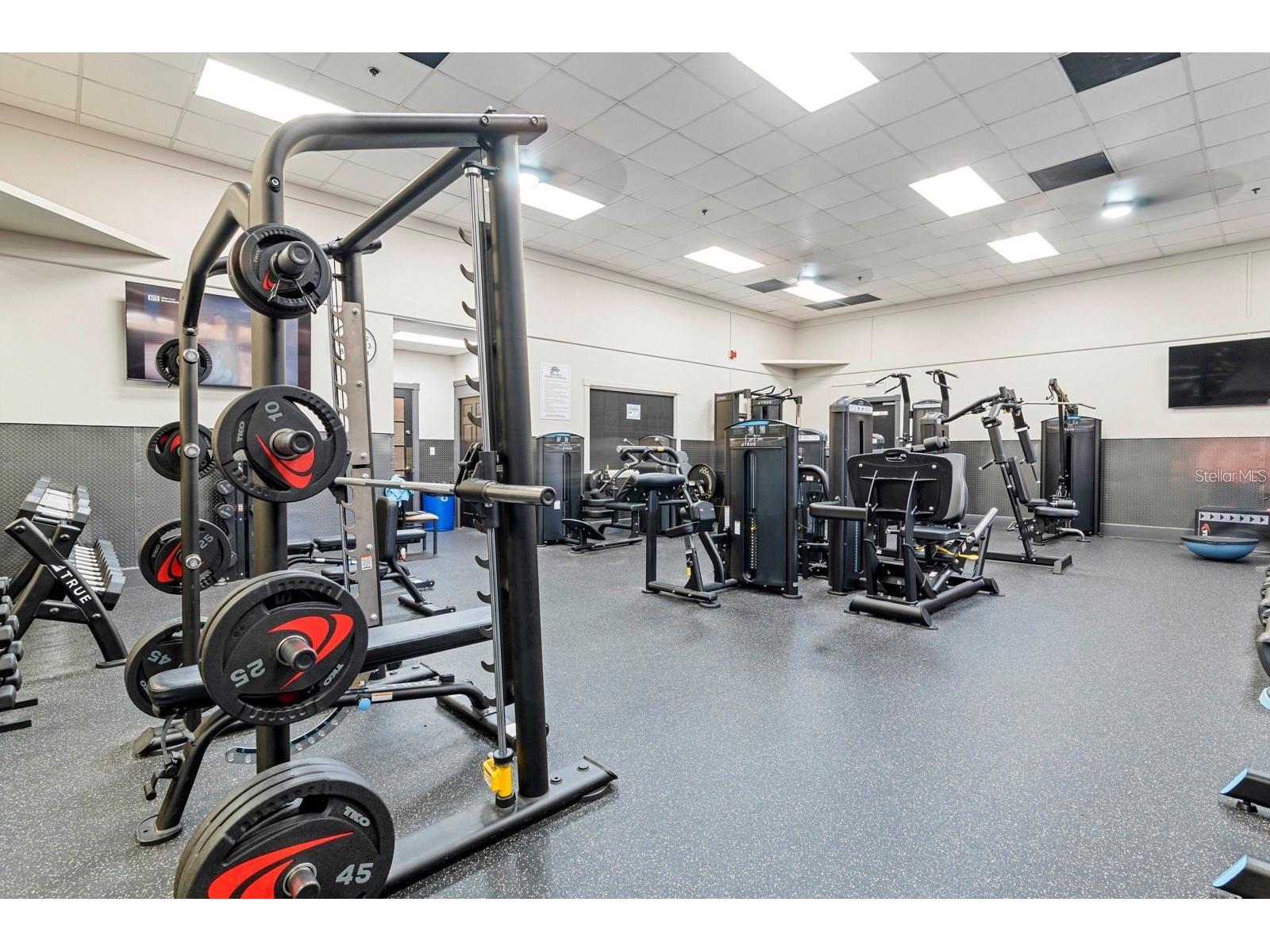 3904 S Nine Drive Valrico FL 33596 TB8515419 image92