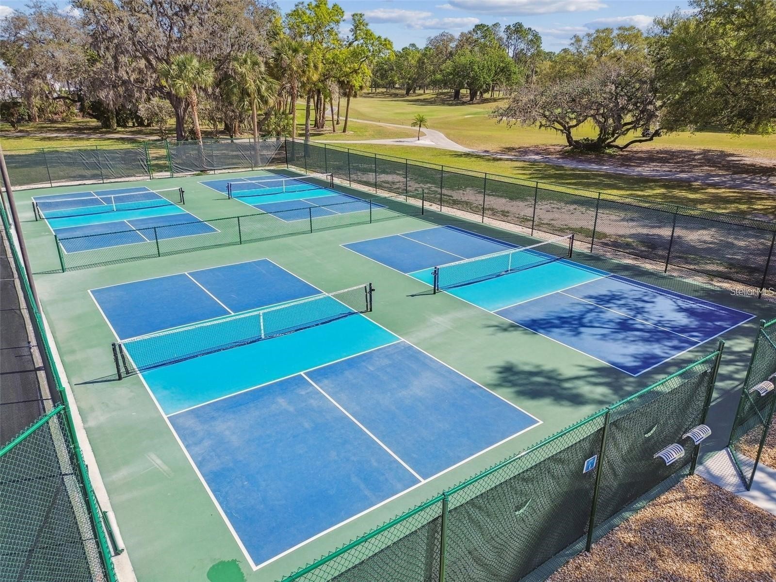 3904 S Nine Drive Valrico FL 33596 TB8515419 image98