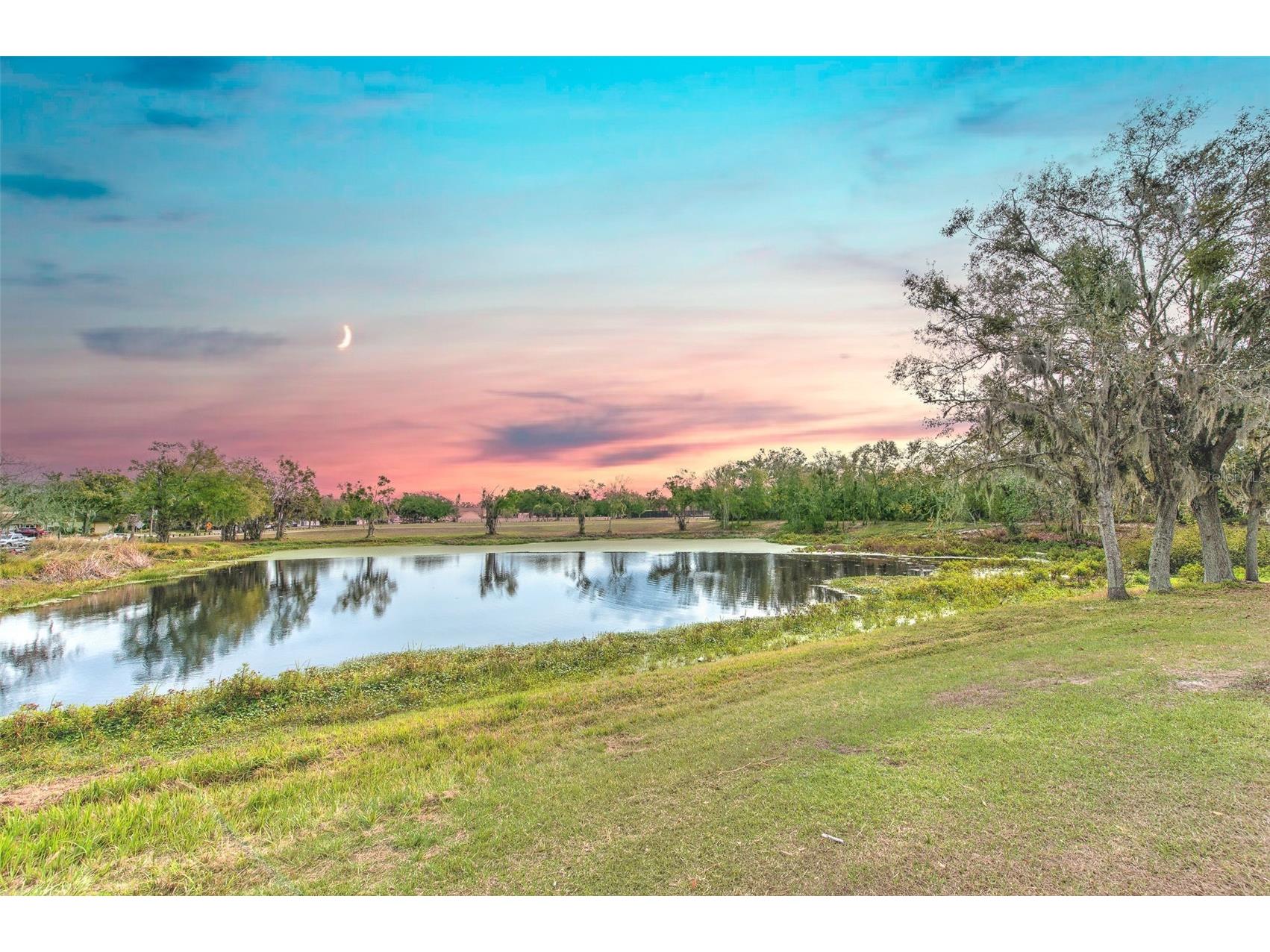 3904 Sweetleaf Drive Brandon FL 33511 TB8434527 image14