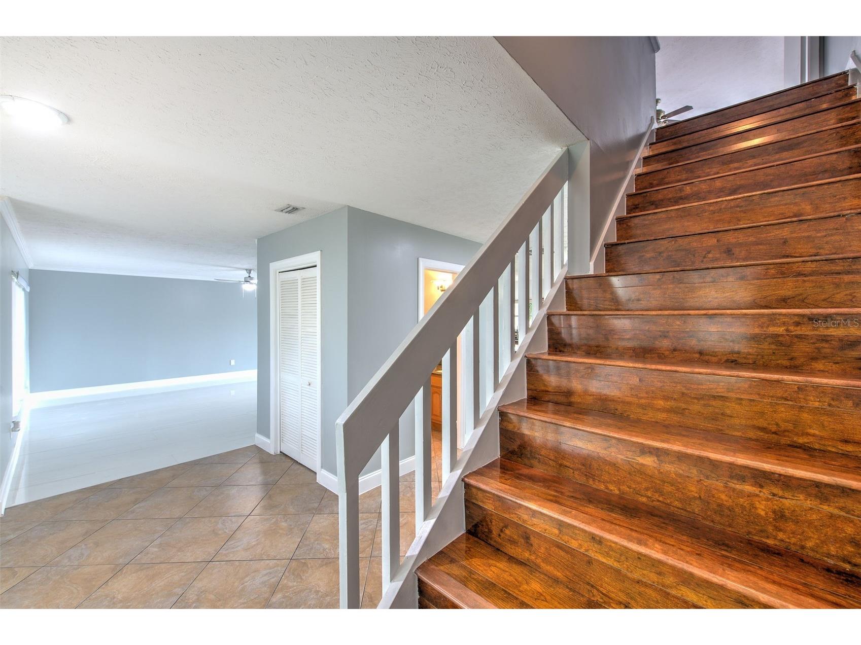 3904 Sweetleaf Drive Brandon FL 33511 TB8434527 image37