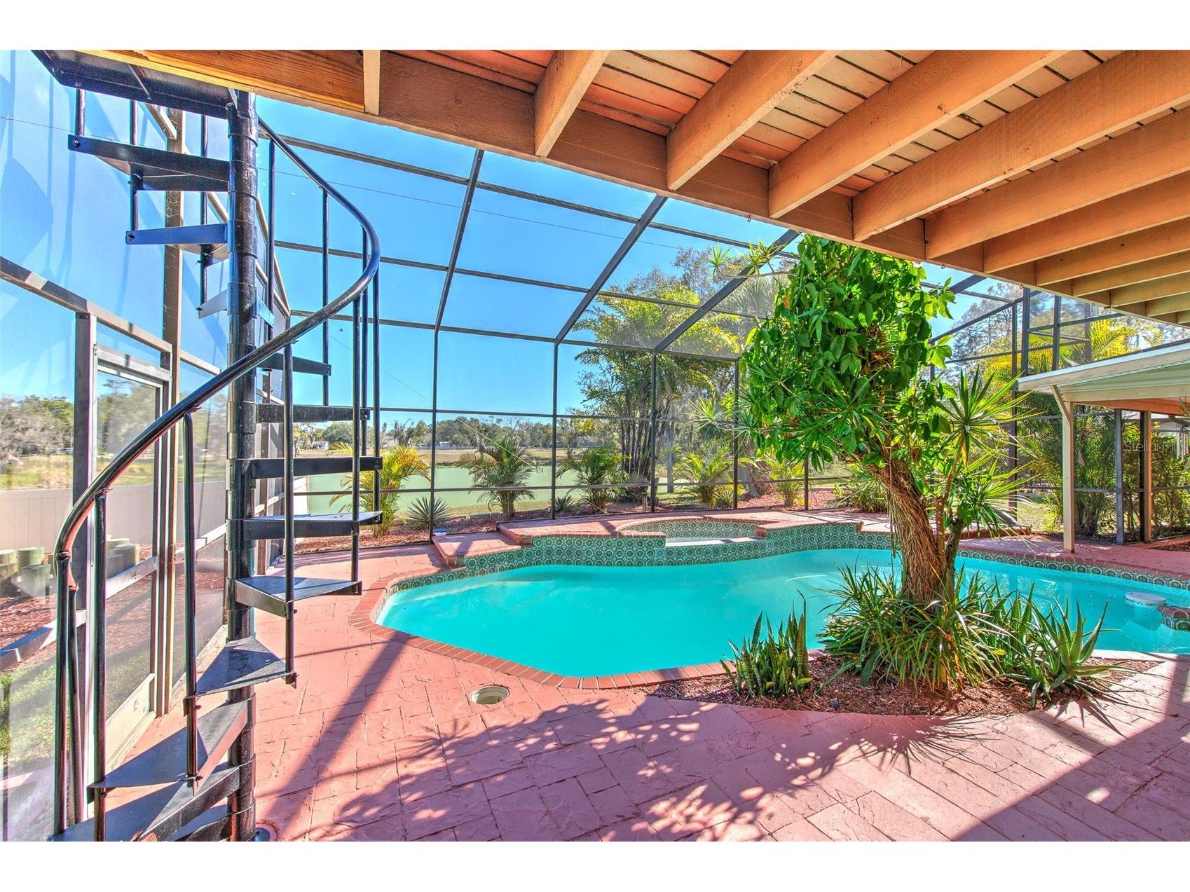 3904 Sweetleaf Drive Brandon FL 33511 TB8434527 image55