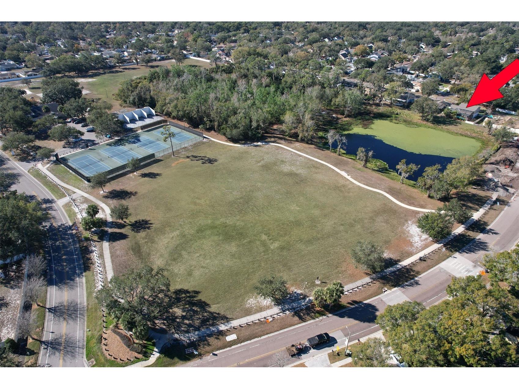 3904 Sweetleaf Drive Brandon FL 33511 TB8434527 image62