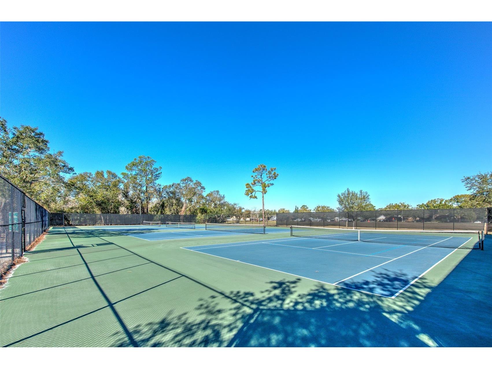 3904 Sweetleaf Drive Brandon FL 33511 TB8434527 image63