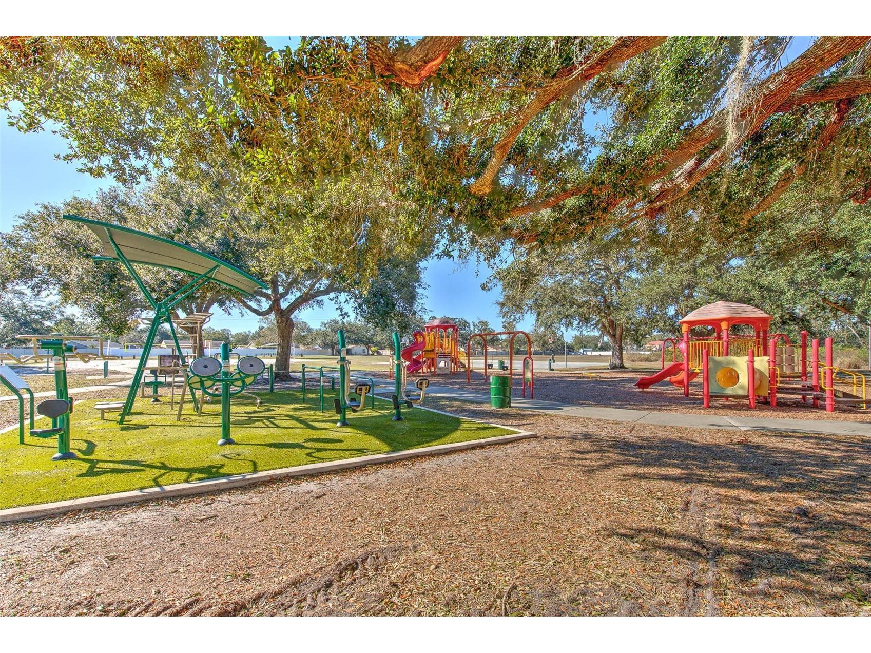 3904 Sweetleaf Drive Brandon FL 33511 TB8434527 image64