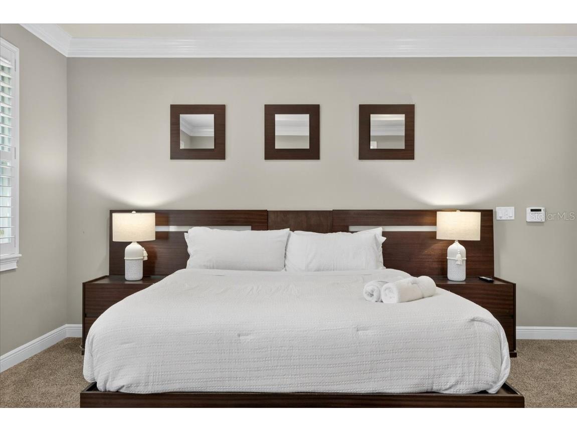 3904 W Santiago Street Tampa FL 33629 TB8412720 image44